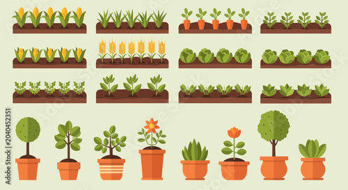 Flat design vector collection of garden plants and vegetable beds, graphic elements