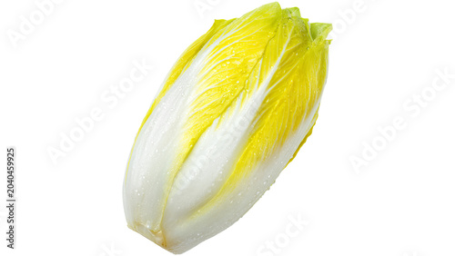 Foto belgian endive, fresh, white, leaf, PNG, on Transparent background
