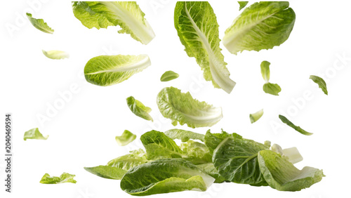 Tableau sur toile set of fresh salad leaves PNG on Transparent background