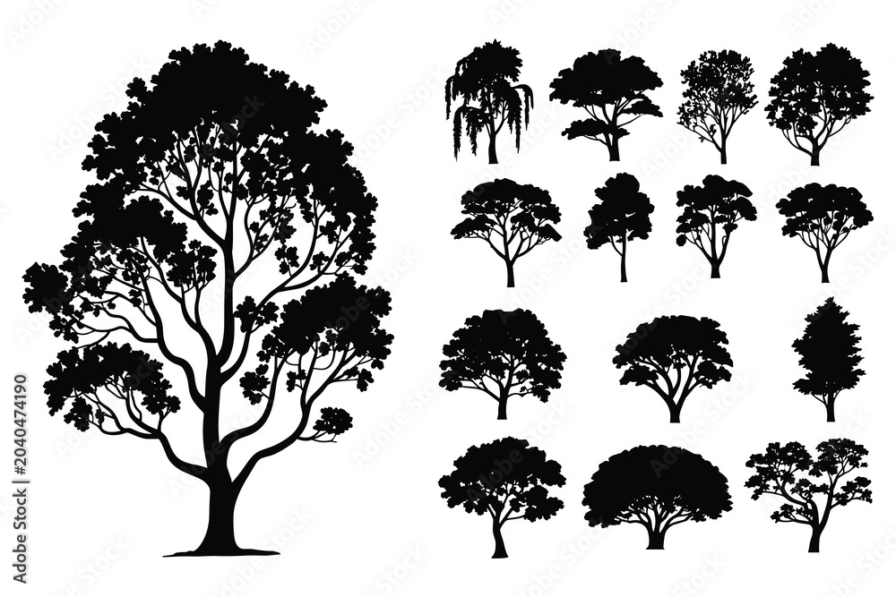 Fototapeta premium Collection Of Diverse Tree Silhouettes In Black Vector Illustration Silhouette