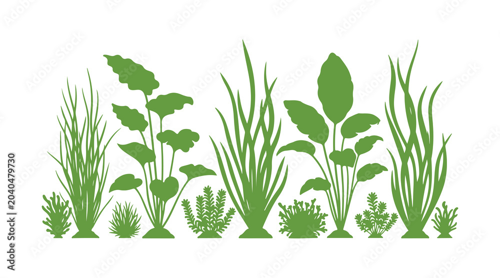 Fototapeta premium Adorable underwater plants set with simple vector illustrations.