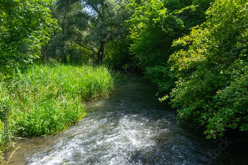 Schnakenpfad in Meißenheim in den Rheinauen