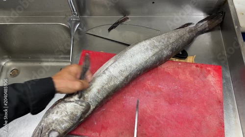 Professional chef cleaning a fresh hake fish in kitchen sink