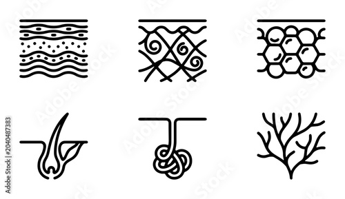 Tableau sur toile Skin Layers and Hair Follicle Icons, Biology and Dermatology Vector Set