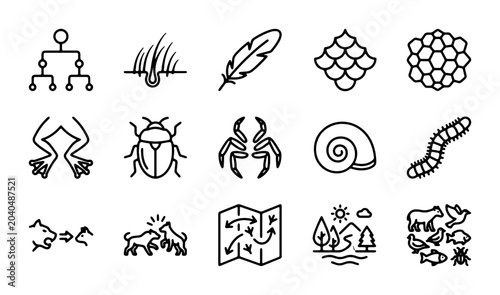 Photos Nature Ecosystem Icons Set: Biology, Wildlife, Environment, Science, Food Chain