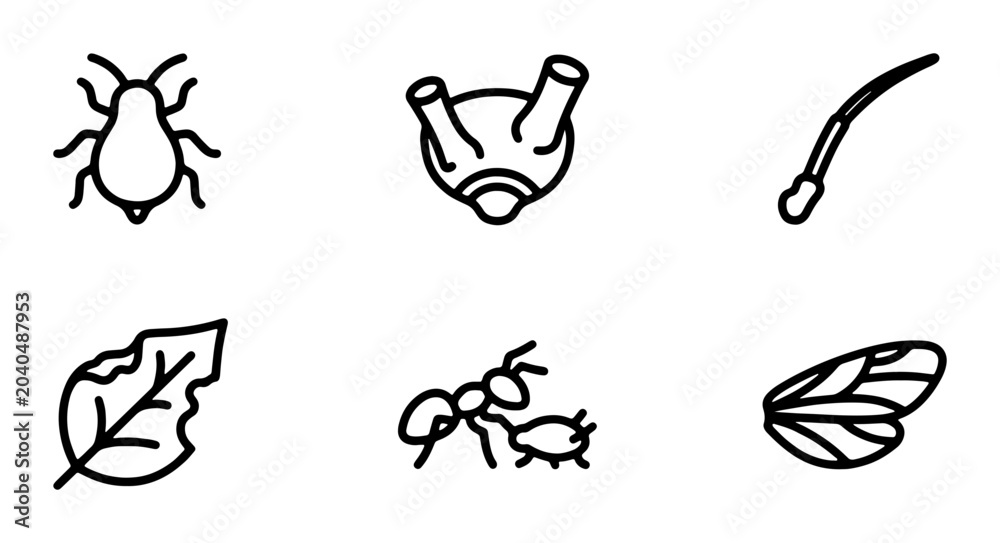 Obraz premium Insect Icons Set, Tiny Pest Vector Graphics, Entomology Symbols, Microscopic Creature Line Art