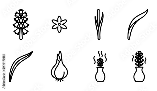 Fotografie Grape Hyacinth Flower Icons, Botanical Line Art Elements, Spring Bulb Plant Grap