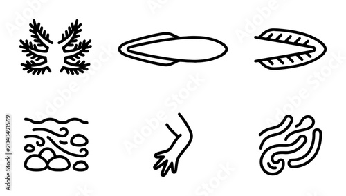 Foto Marine Life Icons, Ocean Creatures, Underwater Elements, Simple Vector Graphics