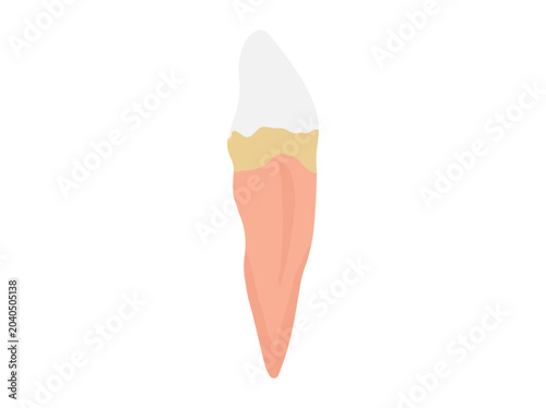 Tooth Tartar Problem Icon Illustration