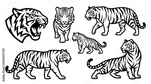Bold black‑and‑white tiger illustrations: roaring head, prowling stance, walking, standing, muscular form, striped pattern, stylized and realistic.