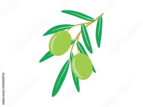 Obraz na plátně Olive Fruit Green Leaves Illustration