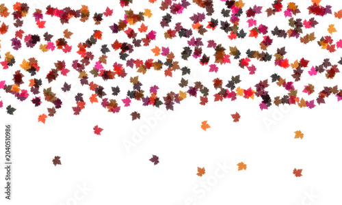 Colorful maple leaves falling isolated on transparent background in autumn season