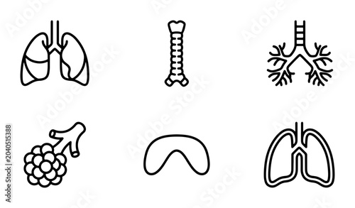 Respiratory System Icons: Lungs, Trachea, Bronchi, Alveoli, Diaphragm, Medical Vector Set