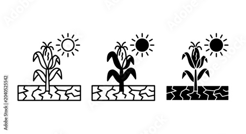 Bild auf Leinwand Drought stricken corn plants, arid cracked earth, intense sun, agricultural cris