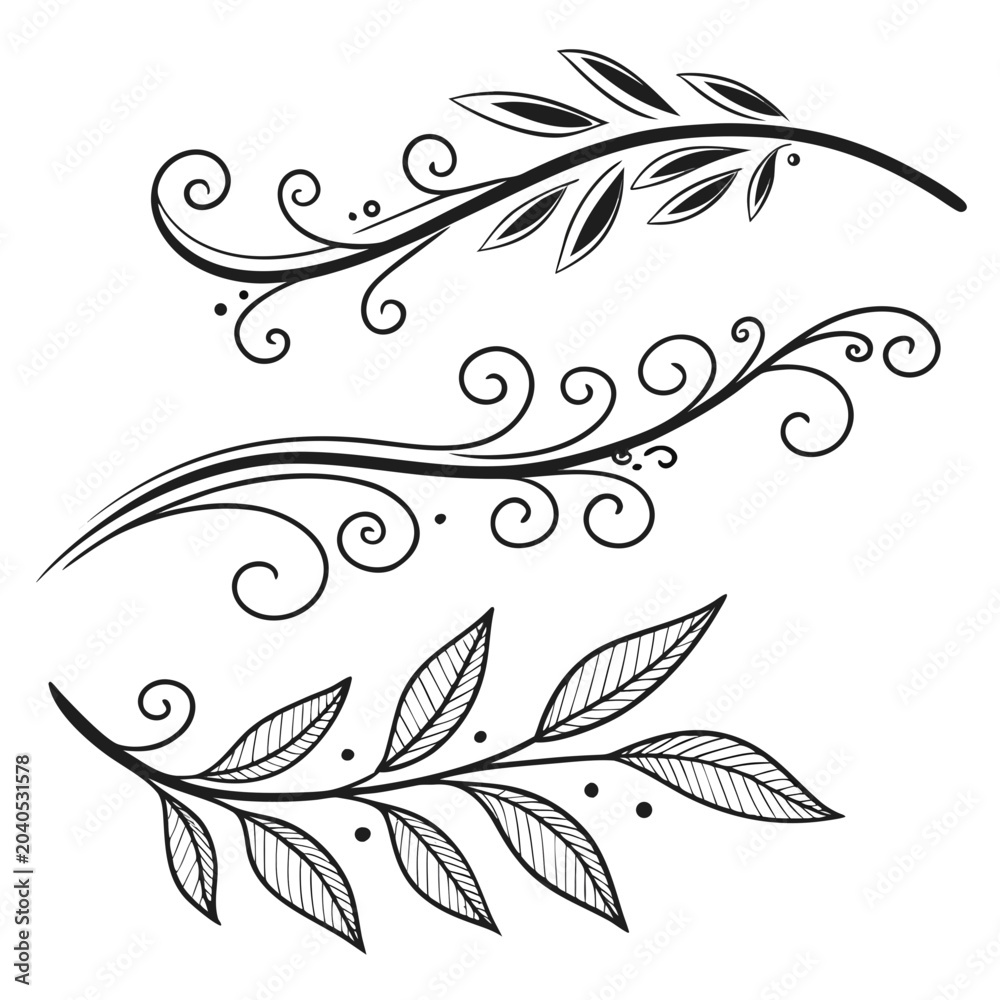 Fototapeta premium floral design elements