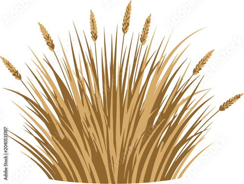 Foto Golden wheat grass with spikes.