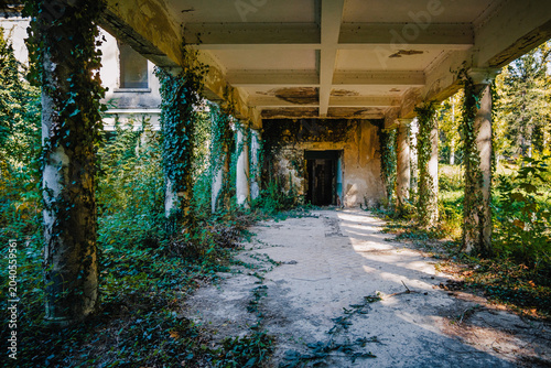 Tableau sur toile Overgrown corridor of abandoned Soviet Bathhouse #5 in Tskaltubo, Georgia, where nature slowly reclaims the once-grand spa