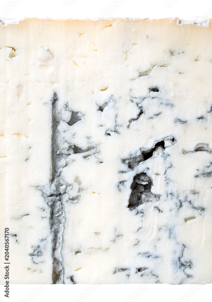 Obraz premium Surface of Gorgonzola Sharp or Piccante, close-up of Italian blue cheese made from cow's milk. Firmer variant, crumbly, longer aged, with dense, dark green-blue veins, and spicy, peppery taste. Photo