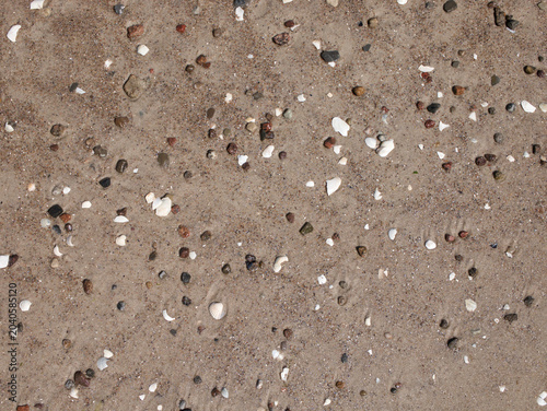 Obraz na plátně Natural Baltic sea beach texture with small pebbles and seashells on sand