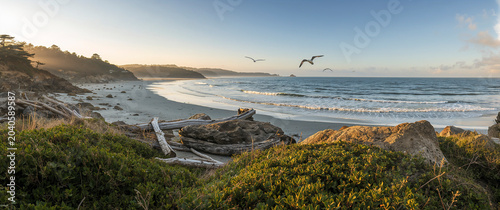 Coastal beach landscape at sunrise with flying seagulls