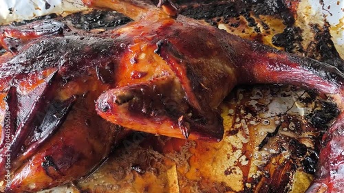 Baked duck in baking tray, indoor Chiangmai Thailand.