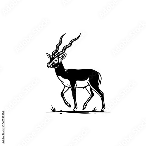 Elegant blackbuck illustration featuring striking spiral horns and a sleek black and white body captured in a dynamic walking pose.