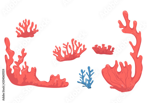 Photography Corals of different shapes, the collection is hand-painted