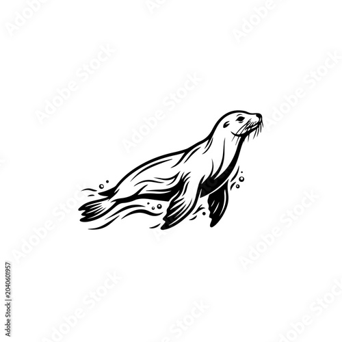 Graceful black and white sea lion illustration swimming with head raised stylized water splashes.