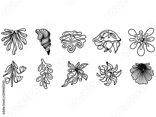 Natural organic floral and shell doodle set with hand drawn, nature inspired