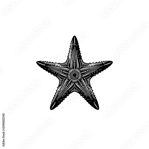 Intricate Black and White Starfish Illustration Detailed Engraving Style Textured Arms Central Pattern.