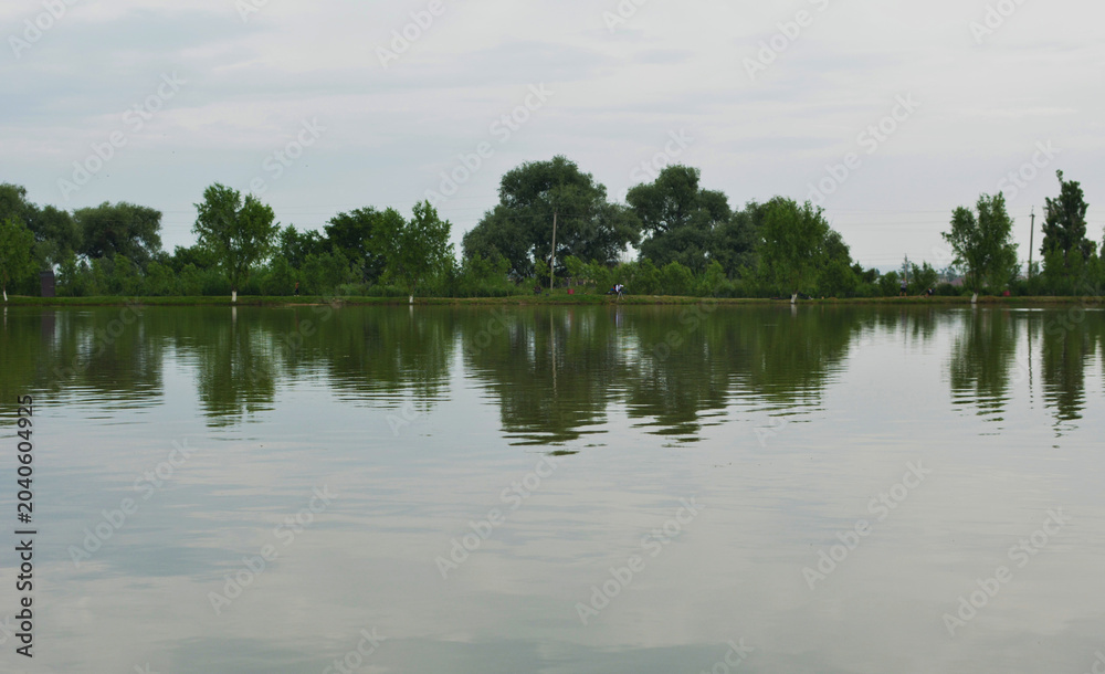 Fototapeta premium Serene landscape of a calm lake reflecting lush green trees under a cloudy sky on a tranquil day with gentle ripples across the waters surface.
