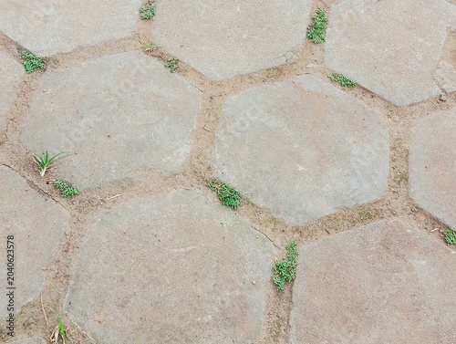 Abstract stone pavement background with hexagonal concrete blocks, small green weeds growing between joints, natural outdoor texture pattern, top view with neutral earthy tones