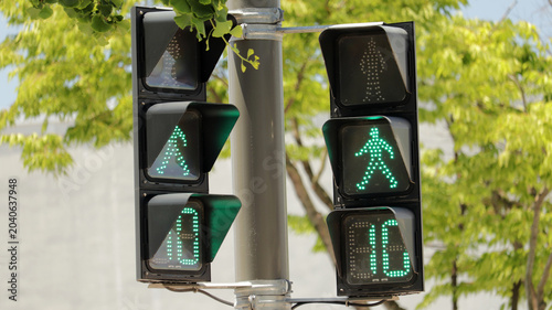 Billede på lærred Pedestrian Crossing Signal with Digital Countdown Timer and Walk Indicator