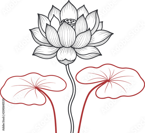 Lotus Flower Blooming Detailed Illustration Zen Garden Elements Asian Art Style
