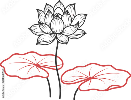 Lotus Flower Illustration with Lily Pads Simple Line Art Isolated
