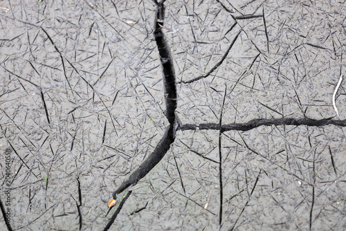 фотографія A textured macro shot of moist soil cracked from drying and deep fissures in the ground