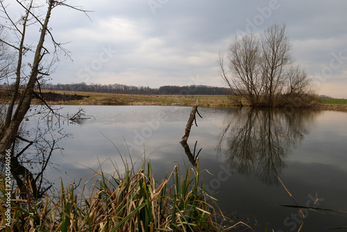 Fotografi A calm spring landscape featuring a small lake under a gloomy cloudy sky