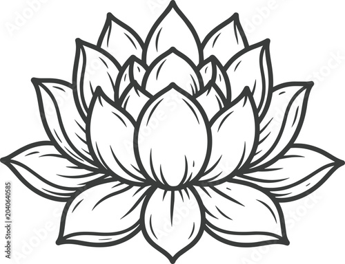 Lotus Flower Outline Drawing Blooming Petals Minimalist Symbol Spiritual Icon