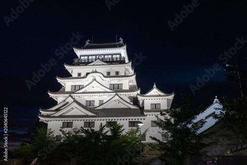 Plakat 福山城 夜（広島県福山市）