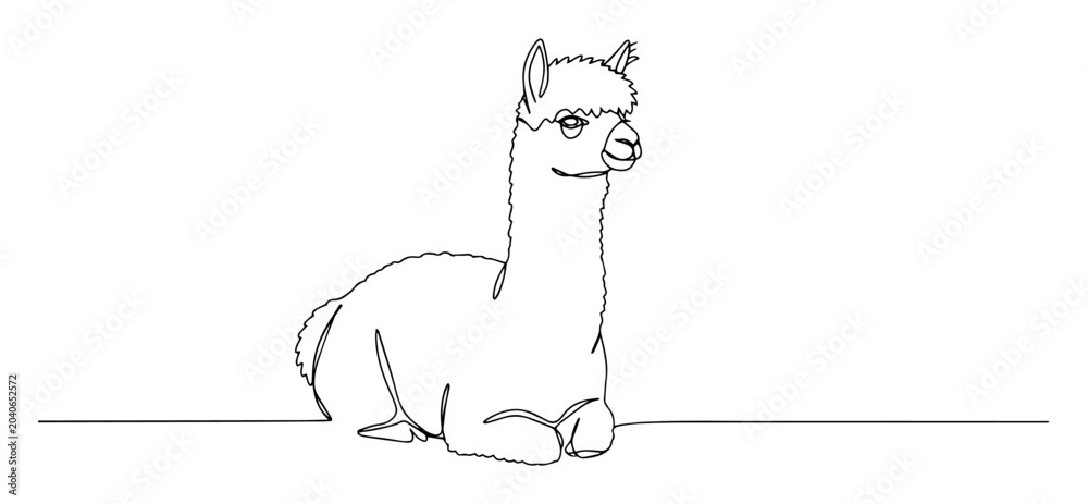 Fototapeta premium resting alpaca sitting pose linear vector artwork