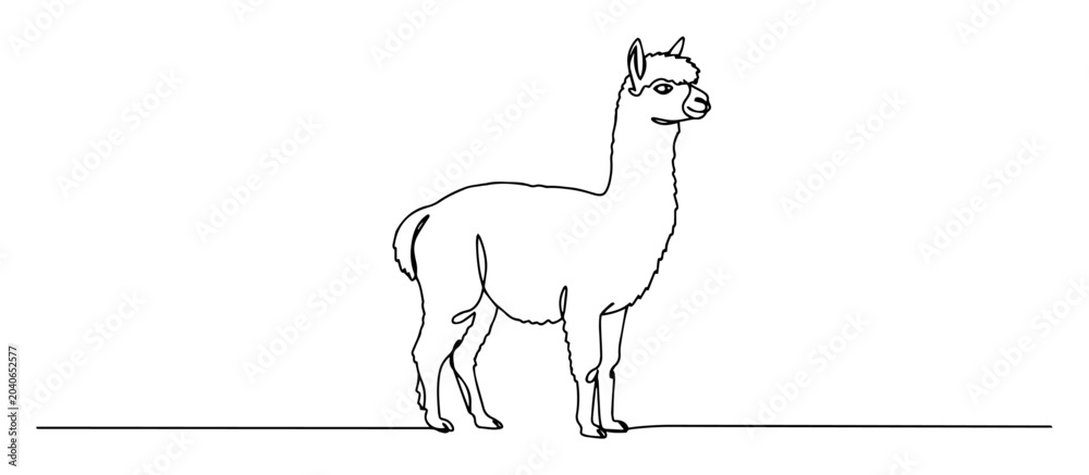 Fototapeta premium standing alpaca side view linear vector artwork