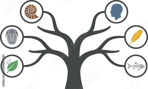 Konstfotografi Evolutionary Tree and Biological Development Concept Illustration with Human, Fo