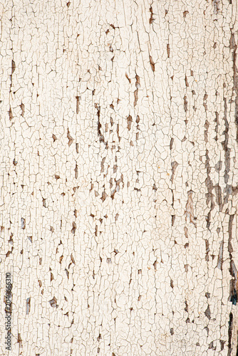 Texture of old wood, a board painted white and left outdoors forming a beautiful rustic texture, selective focus.