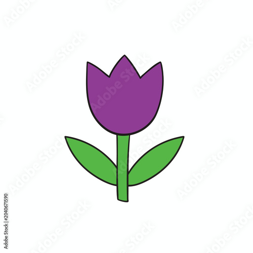 Simple hand drawn purple tulip flower illustration.