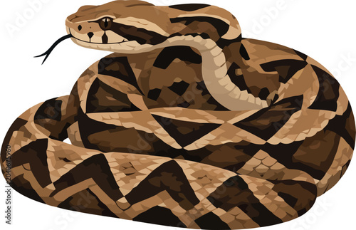 Tableau sur toile Vsai coiled dangerous viper flicking tongue ready strike