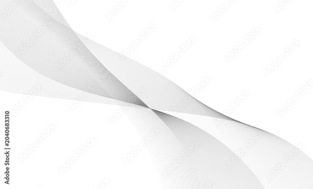 Fototapeta premium bstract White and Grey Soft Wave Gradient on White Background