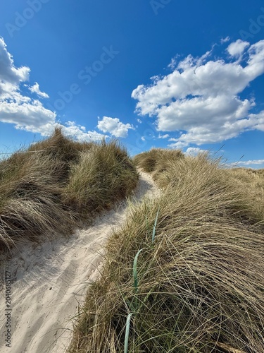 sand dunes on the way to the beach in summer