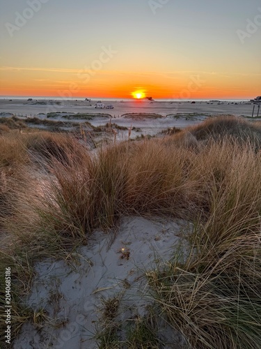beautiful dunes with a view to sunset over the sea