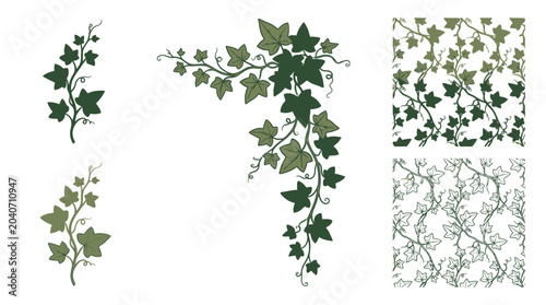 Canvas Print Green Ivy Plant Vector Illustrations and Seamless Patterns