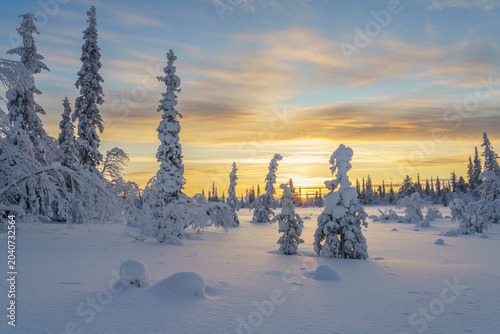 Winter landscape in Swedish Lapland